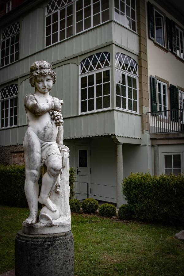 Villa Pochon Гунтен Экстерьер фото